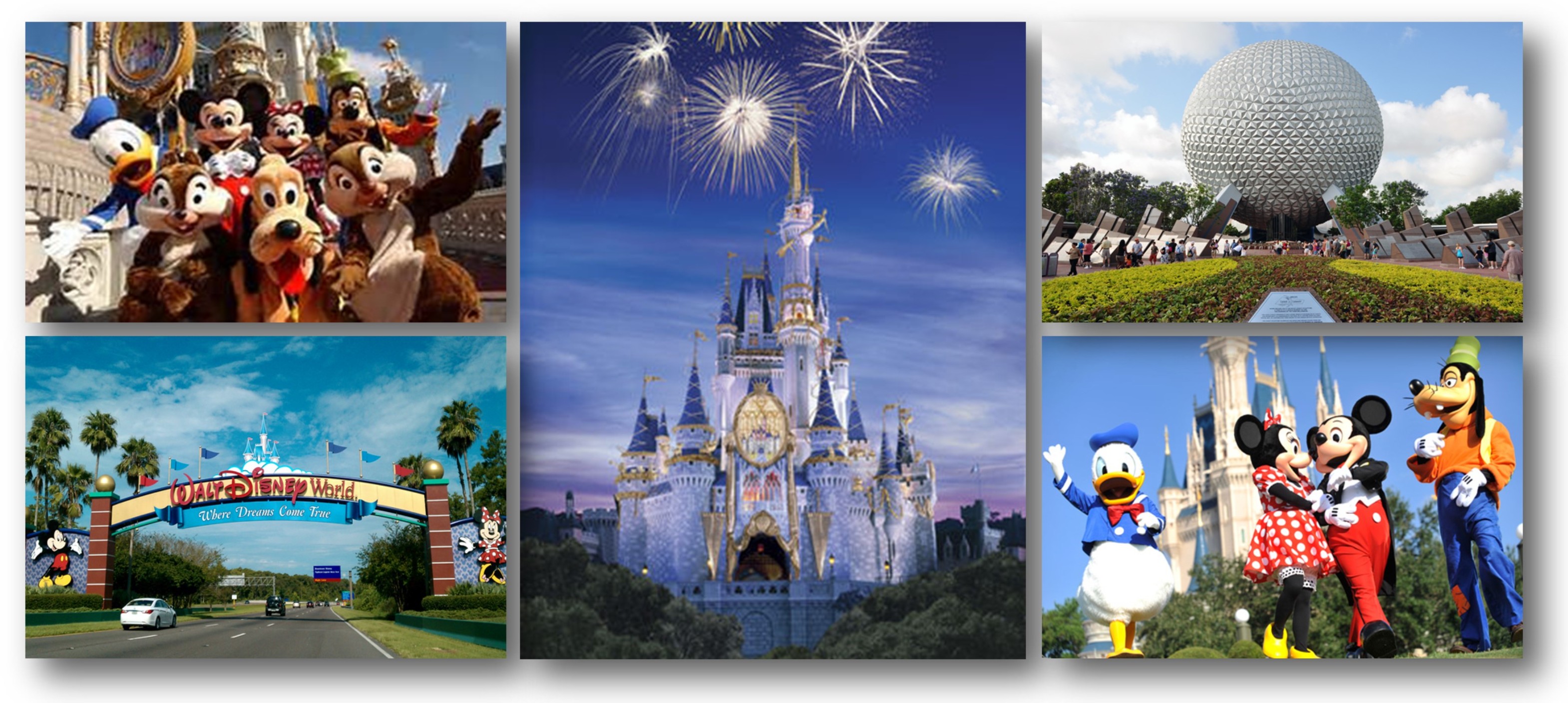 20 top most checked in places in 2015 Disney Properties